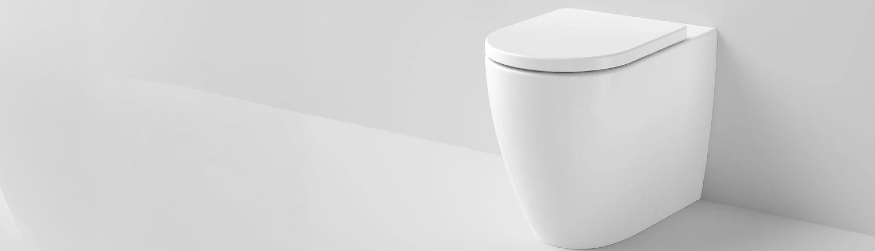 Concealed Back to Wall Toilets