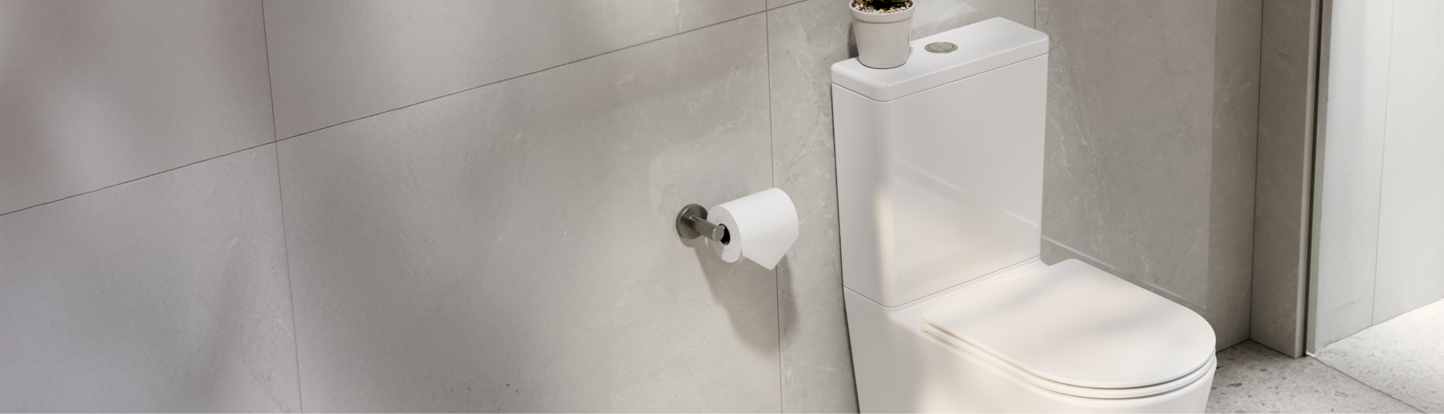 Back to Wall Toilets